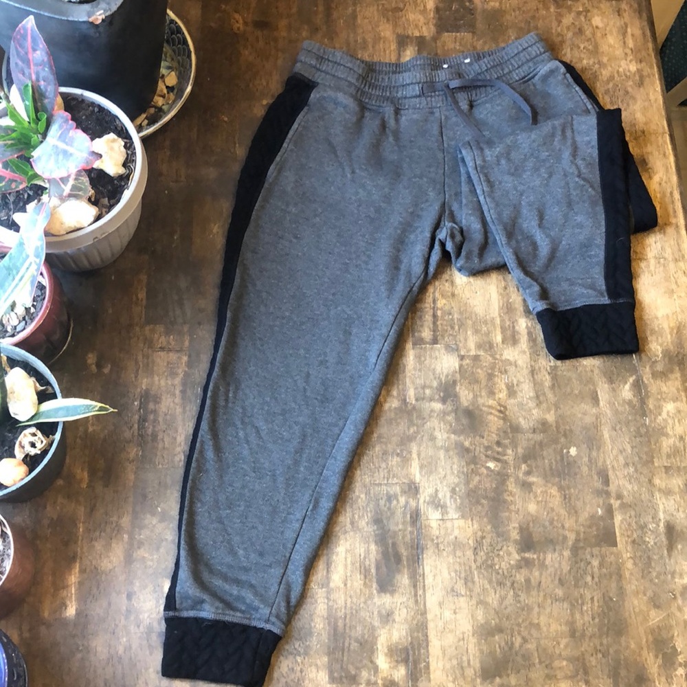 Jogger pants.